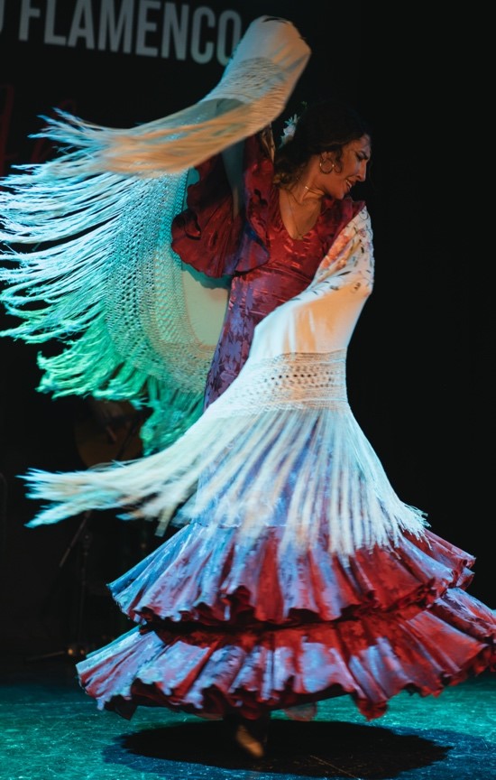 El flamenco como ritual social y comunitario