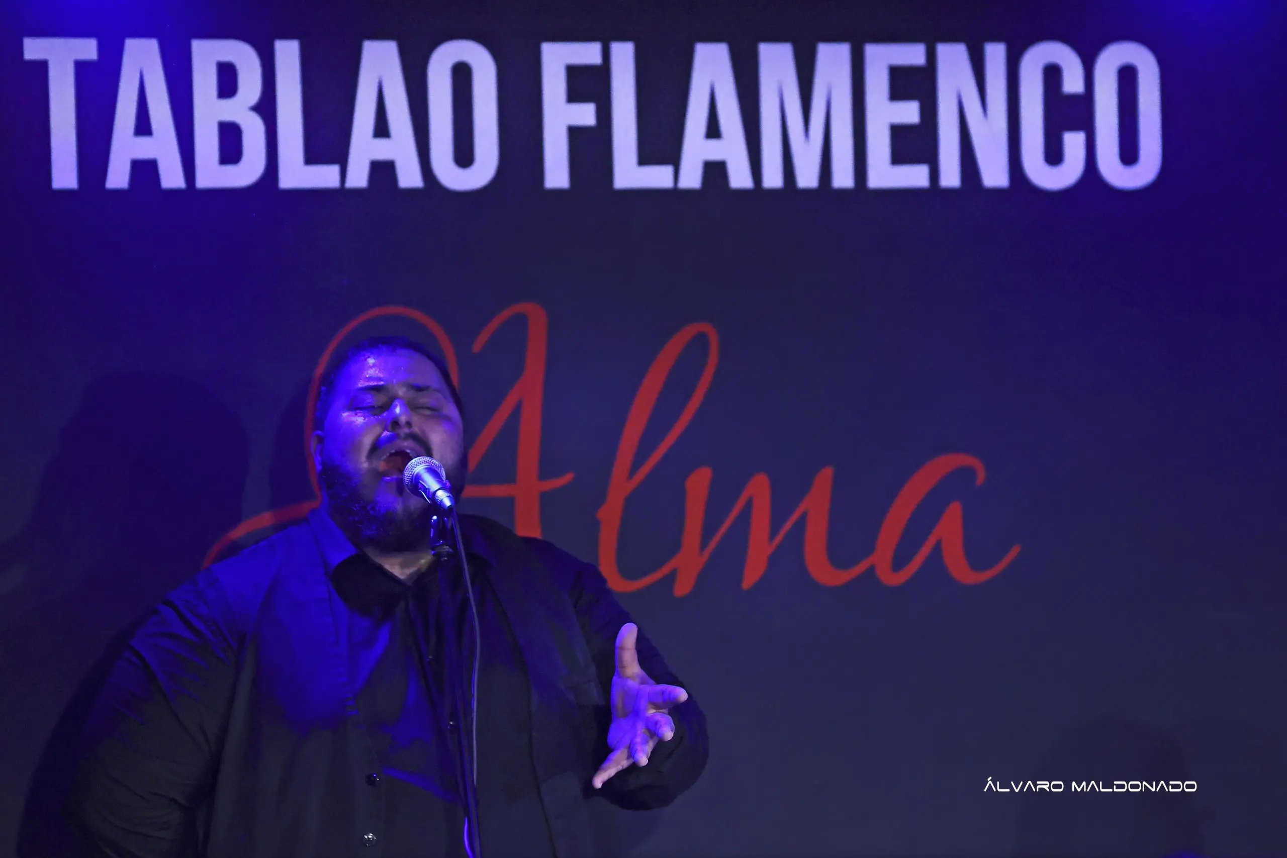 La voz del alma el cante flamenco post