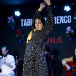 Grupo o Celebración Especial Vive una Noche Flamenca portada post