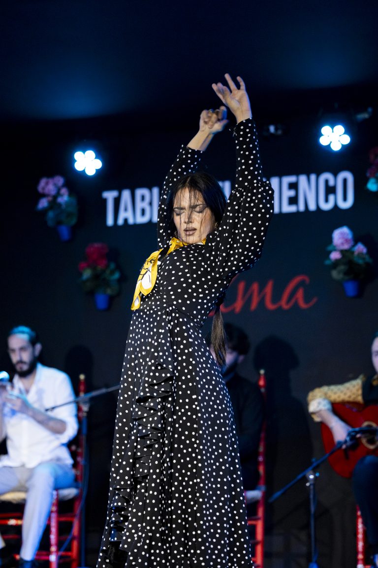 Grupo o Celebración Especial Vive una Noche Flamenca portada post