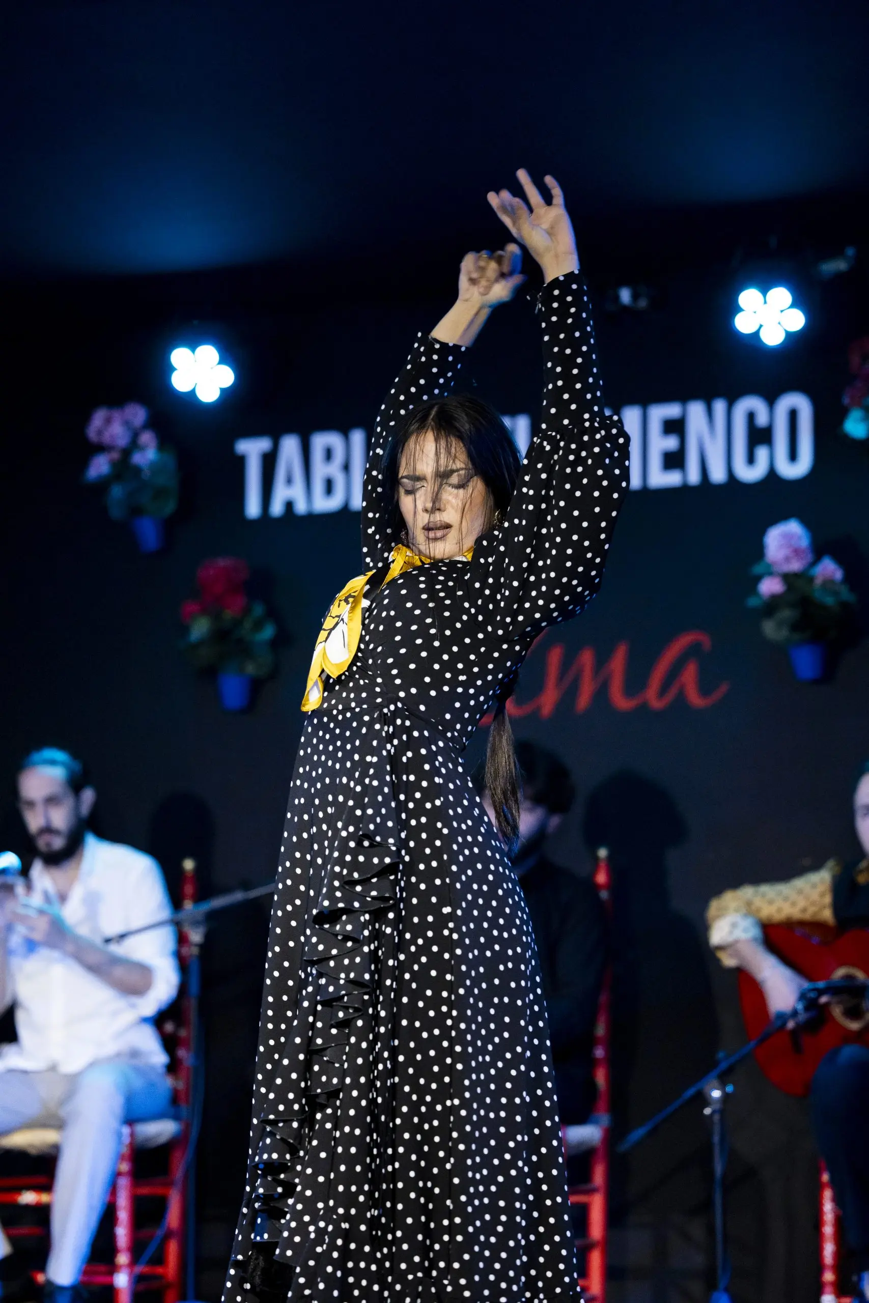 Grupo o Celebración Especial Vive una Noche Flamenca portada post